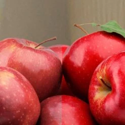 Philips Ultra Definition BA11 E26 (Medium) LED Bulb Soft White 40 Watt Equivalence 3 Pk -Luminexm Store 0908f216 43b6 4030 bfda 624d8ad88d63