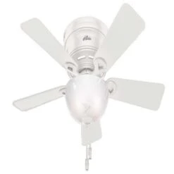 Hunter Haskell 42 In. White LED Indoor Ceiling Fan