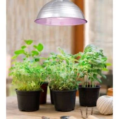 Westinghouse BR30 E26 (Medium) LED Bulb White 65 Watt Equivalence 1 Pk 5 Westinghouse BR30 E26 (Medium) LED Bulb White 65 Watt Equivalence 1 Pk -Luminexm Store 0be07d04 82b7 44b3 86b1 e1ab99780e76