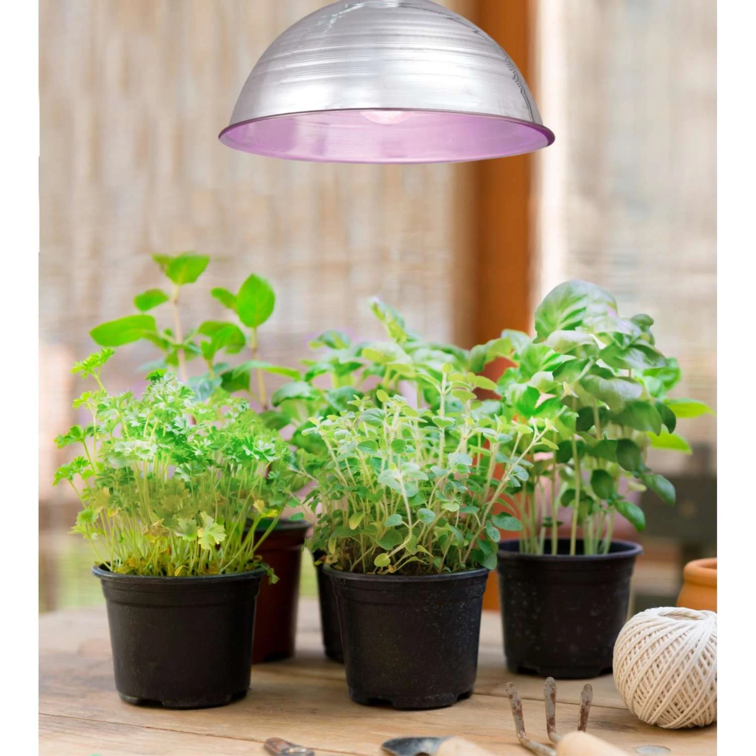 Westinghouse BR30 E26 (Medium) LED Bulb White 65 Watt Equivalence 1 Pk 4 Westinghouse BR30 E26 (Medium) LED Bulb White 65 Watt Equivalence 1 Pk - Image 2