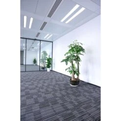 Feit LED Linears T8/T12 Daylight 93.3 In. 1 Pin Linear LED Tube Light Bulb 59 Watt Equivalence 1 Pk -Luminexm Store 0fef0376 5a30 41d8 b537 e77c12cbc9d7