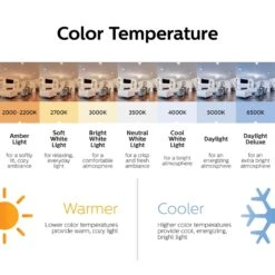 Philips PAR 30L E26 (Medium) LED Bulb Bright White 100 Watt Equivalence 1 Pk 11 Philips PAR 30L E26 (Medium) LED Bulb Bright White 100 Watt Equivalence 1 Pk -Luminexm Store 112976e9 5f7b 4afa 8e06 f10d2c733934