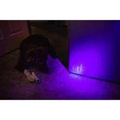 NEBO Black LED UV Flashlight AAA Battery -Luminexm Store 12b18c98 ab8e 41a0 8ead 34dec292c7da