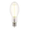 Westinghouse ED28 EX39 (Mogul) Filament LED Bulb Daylight 250 Watt Equivalence 1 Pk -Luminexm Store 1408143f 0b17 4423 837a 23fb60e603e9