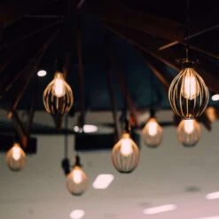 Feit LED Filament ST19 E26 (Medium) Filament LED Bulb Daylight 100 Watt Equivalence 2 Pk -Luminexm Store 1d153cca 504c 4515 8d2b 4fb175d023dd