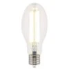 Westinghouse ED28 EX39 (Mogul) Filament LED Bulb Daylight 300 Watt Equivalence 1 Pk -Luminexm Store 1dd632a7 6c70 4872 909d f934a2db632c