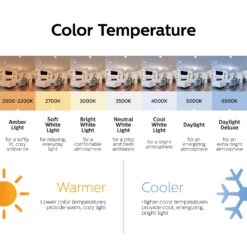 Philips A19 E26 (Medium) LED Bulb Daylight 60 Watt Equivalence 4 Pk -Luminexm Store 2026612b b9f2 4fca 9e53 0fcafe2d83be