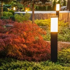 Westinghouse ED28 E26 (Medium) Filament LED Bulb Warm White 300 Watt Equivalence 1 Pk -Luminexm Store 23860c20 3ce7 401b 891c 91a4c91aa9b0