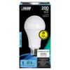 Feit LED A21 E26 (Medium) LED Bulb Daylight 200 Watt Equivalence 1 Pk -Luminexm Store 292b53aa 7c1f 4a48 960b 2446834b123f