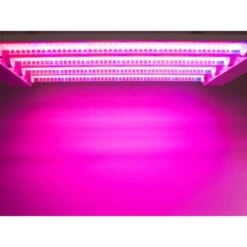 Feit LED Square Connector LED Grow Light Red 60 Watt Equivalence 1 Pk 12 Feit LED Square Connector LED Grow Light Red 60 Watt Equivalence 1 Pk -Luminexm Store 3a55c600 16d9 4893 85de af40e33d8b4c