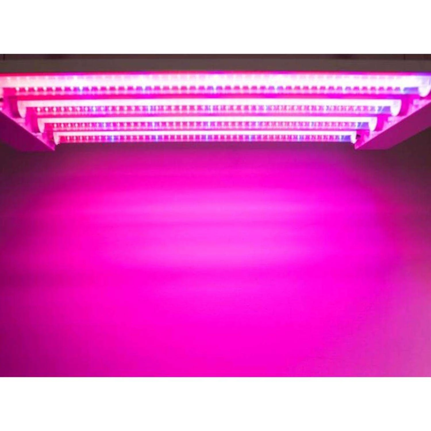 Feit LED Square Connector LED Grow Light Red 60 Watt Equivalence 1 Pk 7 Feit LED Square Connector LED Grow Light Red 60 Watt Equivalence 1 Pk - Image 5