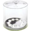 MPOWERD Luci 75 Lm Clear LED Solar Inflatable Lantern -Luminexm Store 3cb1fa3c 28fc 4748 9e4d 9d2733eb039c
