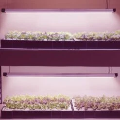 Stonepoint 48 In. 1-Light Lights 36 W LED Grow Shop Light 10 Stonepoint 48 In. 1-Light Lights 36 W LED Grow Shop Light -Luminexm Store 47c1830f 0bea 4471 b857 ead8c618d481