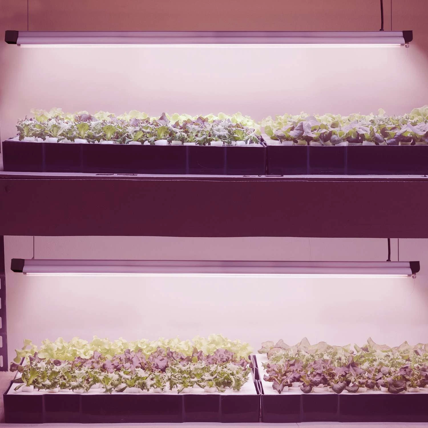 Stonepoint 48 In. 1-Light Lights 36 W LED Grow Shop Light 6 Stonepoint 48 In. 1-Light Lights 36 W LED Grow Shop Light - Image 4