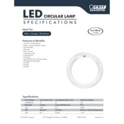 Feit Plug & Play Specialty Cool White 1.2 In. G10Q Circular LED Bulb 22 Watt Equivalence 1 Pk 11 Feit Plug & Play Specialty Cool White 1.2 In. G10Q Circular LED Bulb 22 Watt Equivalence 1 Pk -Luminexm Store 4d1c7736 b85e 4ef5 9d13 b683cb3149a6
