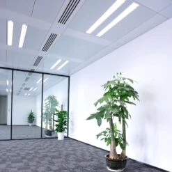 Feit Legacy Bulbs 32 W T8 7 In. D X 22.9 In. L Fluorescent Bulb Cool White U-Bend 4100 K 1 Pk 12 Feit Legacy Bulbs 32 W T8 7 In. D X 22.9 In. L Fluorescent Bulb Cool White U-Bend 4100 K 1 Pk -Luminexm Store 5999d7b9 0706 4638 aea6 881ddc0bcef0