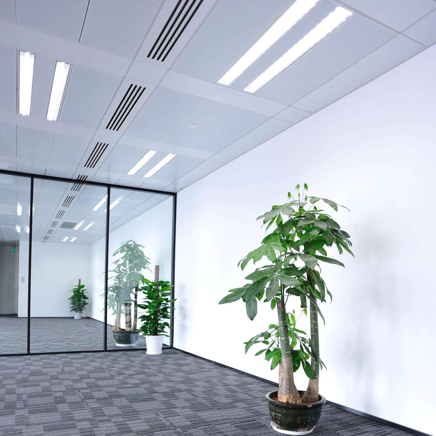 Feit Legacy Bulbs 32 W T8 7 In. D X 22.9 In. L Fluorescent Bulb Cool White U-Bend 4100 K 1 Pk 7 Feit Legacy Bulbs 32 W T8 7 In. D X 22.9 In. L Fluorescent Bulb Cool White U-Bend 4100 K 1 Pk - Image 5