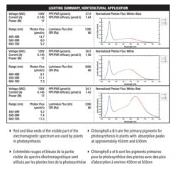 Feit A21 E26 (Medium) LED Grow Light Clear 1 Pk 8 Feit A21 E26 (Medium) LED Grow Light Clear 1 Pk -Luminexm Store 5f604541 dde6 4ad4 84fd f42c6accec64