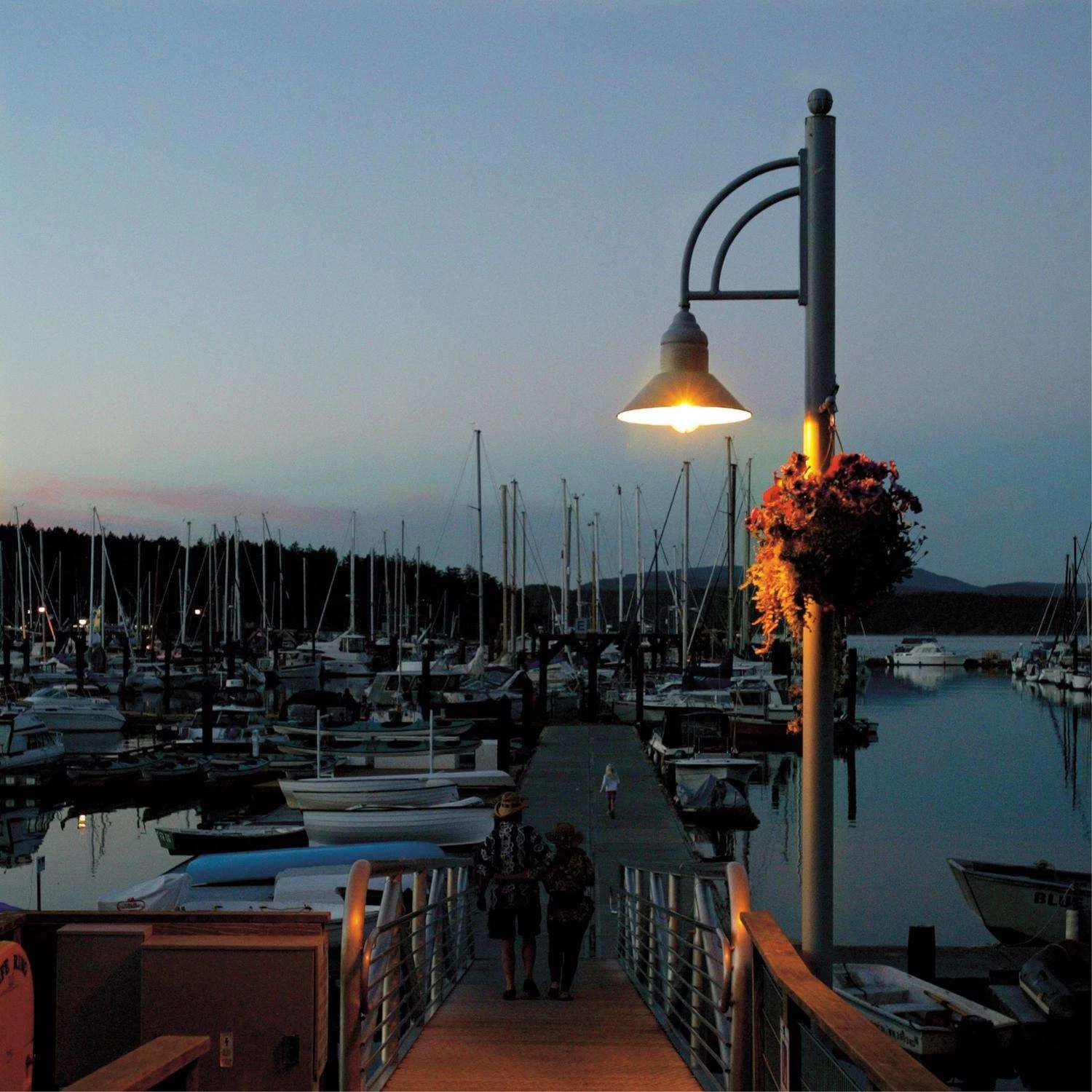 Westinghouse ED23.5 E26 (Medium) Filament LED Bulb Warm White 125 Watt Equivalence 1 Pk 8 Westinghouse ED23.5 E26 (Medium) Filament LED Bulb Warm White 125 Watt Equivalence 1 Pk - Image 6