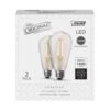 Feit ST19 E26 (Medium) Filament LED Bulb Soft White 100 Watt Equivalence 2 Pk -Luminexm Store 6ba28108 e4f1 4648 b8c5 8ce631488b27