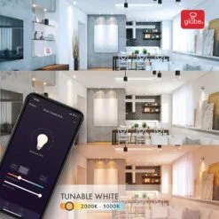 Globe Electric Wi-Fi Smart Home A19 E26 (Medium) LED Bulb Color Changing 60 Watt Equivalence 1 Pk -Luminexm Store 7951da9f 5da9 445f bdc8 2f23175b4715
