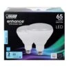 Feit Enhance BR40 E26 (Medium) LED Bulb Daylight 65 Watt Equivalence 2 Pk -Luminexm Store 862a15e0 e4f4 4478 bf1c d038b367e12f