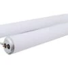 GE 32 W T8 1 In. D X 22.5 In. L Fluorescent Bulb Bright White U-Bend 3500 K 1 Pk -Luminexm Store a6144dcb e9ee 4614 9ba6 0032e23e3063