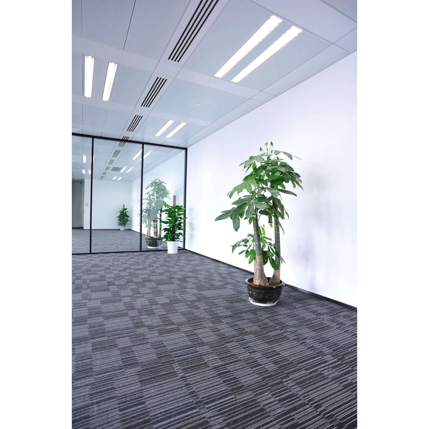 Feit Plug & Play Linear Lamp Cool White 47.5 In. Bi-Pin T8 LED Bulb 32 Watt Equivalence 2 Pk 8 Feit Plug & Play Linear Lamp Cool White 47.5 In. Bi-Pin T8 LED Bulb 32 Watt Equivalence 2 Pk - Image 6