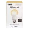 Feit LED A19 E26 (Medium) LED Bulb Warm White 60 Watt Equivalence 1 Pk 2 Feit LED A19 E26 (Medium) LED Bulb Warm White 60 Watt Equivalence 1 Pk -Luminexm Store b39ec41b 3fbe 43e6 a29a fe8a2f6d7202