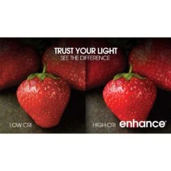 Feit Enhance R20 E26 (Medium) LED Bulb Daylight 45 Watt Equivalence 3 Pk -Luminexm Store b4a7a3c3 306a 4d2f b8df 52431f7fa14d