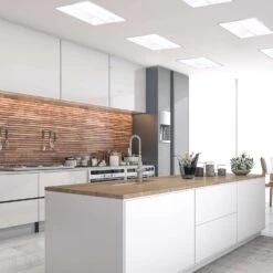 Feit LED Linears T8/T12 Cool White 93.4 In. 1-Pin Linear LED Tube Light Bulb 42 Watt Equivalence 1 P 10 Feit LED Linears T8/T12 Cool White 93.4 In. 1-Pin Linear LED Tube Light Bulb 42 Watt Equivalence 1 P -Luminexm Store b6eb1227 ede2 4336 a5ef 9d691d7af0d8