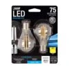 Feit LED A15 E17 (Intermediate) Filament LED Bulb Daylight 75 Watt Equivalence 2 Pk -Luminexm Store b9450ef4 a23c 44e6 be6c 951fb3253835
