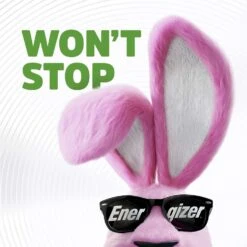 Energizer Recharge NiMH C 1.2 V 2500 Ah Rechargeable Battery NH35BP-2R2 2 Pk -Luminexm Store baea9d17 40f1 4179 b87f a33d0a293cf8