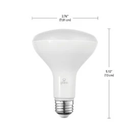 Globe Electric Disinfecting Germicidal Light Bulb BR30 E26 (Medium) LED Disinfection Bulb White 65 W -Luminexm Store ec5390aa 96cc 477f b3f5 638b9bf0d135