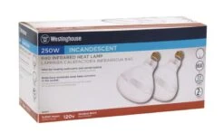 Westinghouse 250 W R40 Heat Lamp Incandescent Light Bulb Medium Base Clear 2 Pk
